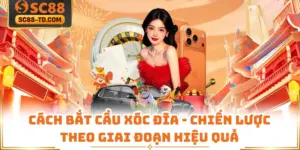 Cách Bắt Cầu Xóc Đĩa - Chiến Lược Theo Giai Đoạn Hiệu Quả