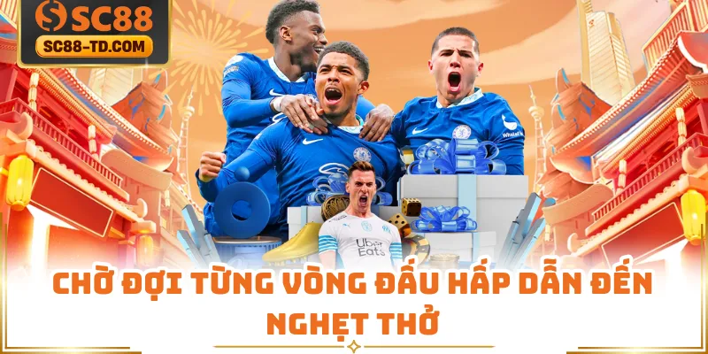 Chờ Đợi Từng Vòng Đấu Hấp Dẫn Đến Nghẹt Thở